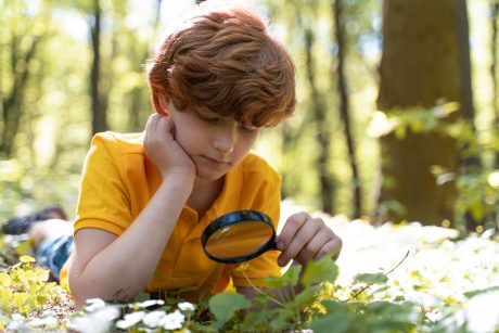 Foster Their Curiosity