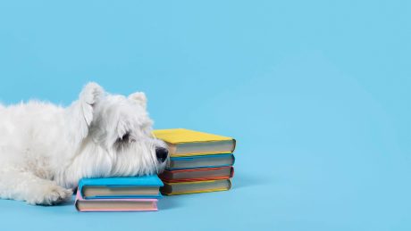 Animal Books