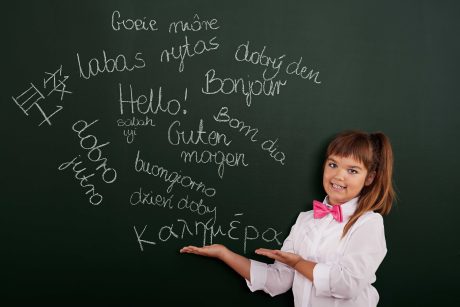 Multilingual Dictionaries